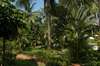 Samui Paradise Beach Resort 